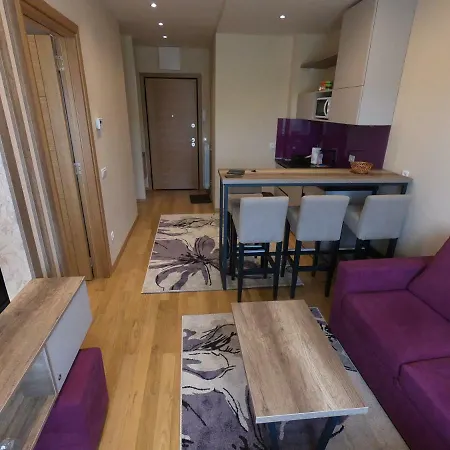 Apartment Golden Wood *
